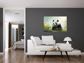 Tablou - Panda (90x60 cm)