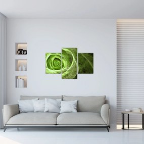 Tablou - Abstract Rose Green (90x60 cm)