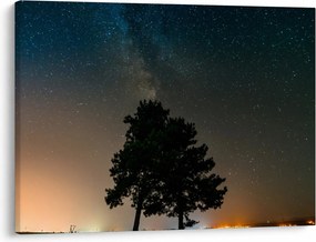 Tablou cu cerul nocturn și copaci (70x50 cm)