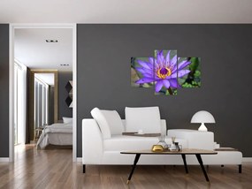 Tablou - Floare violet (90x60 cm)