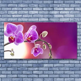 Tablouri acrilice Flori roz Floral