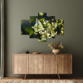Tablou cu fluture (150x105 cm)