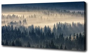 Print pe pânză Ceață peste pădure