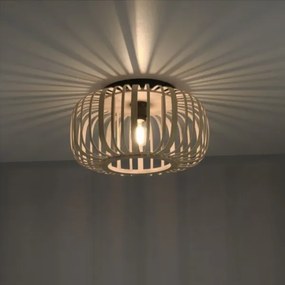 Lustră aplicată RACOON 1xE27/40W/230V d. 40 cm Leuchten Direkt 11412-79