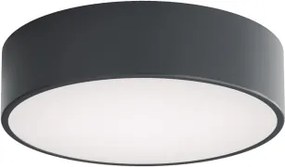 Brilagi - Plafonieră pentru baie CLARE 2xE27/24W/230V Ø 30 cm antracit IP54