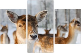 Tablou - Cerbi (90x60 cm)