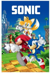 Pătură pentru copii din polar/fleece 100x150 cm Sonic – Jerry Fabrics