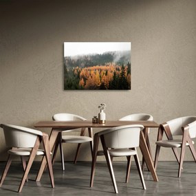 Tablou pe sticlă - Pădure toamna (70x50 cm)