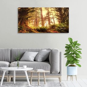 Tablou canvas Pădurea tropicală
