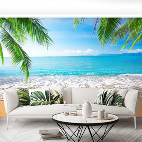 Fototapet Palm Beach și