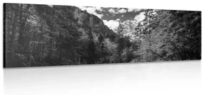 Tablou peisaj carpatin alb-negru