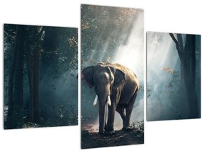 Tablou cu elefant în djunglă (90x60 cm)