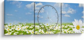 Tablou cu luncă înflorită cu margarete (cu ceas) (90x30 cm)