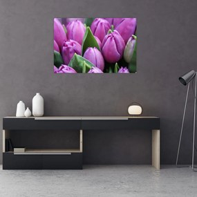 Tablou - florile lalelelor (90x60 cm)
