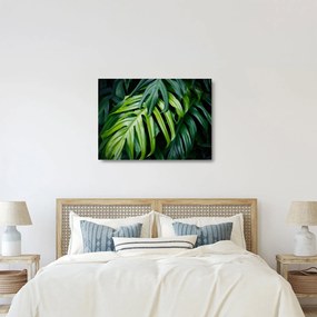 Tablou pe sticlă - Frunze tropicale (70x50 cm)