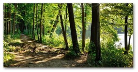 Tablou sticlă acrilică Calea în lunca
