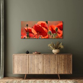 Tablou cu flori de maci (120x50 cm)