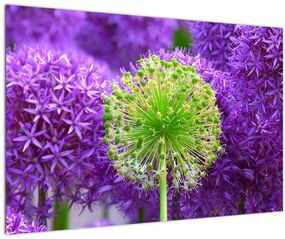 Tablou cu floare (90x60 cm)