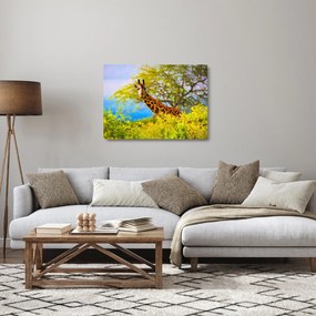 Tablou pe sticlă - Girafa în Africa (70x50 cm)