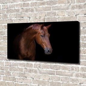 Print pe canvas Cal maro