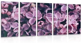 Tablou 5-piese flori violete de liliac