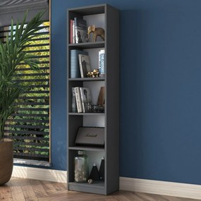 Bibliotecă Hale Anthracite