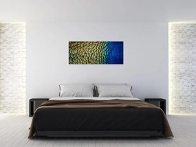 Tablou - Pene de păun (120x50 cm)