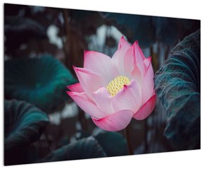 Tablou cu floare roz (90x60 cm)