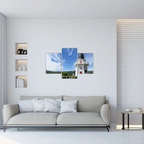 Tablou cu farurile Akaroa, Nooua Zeelanda (90x60 cm)