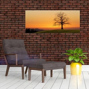 Tablou cu apus de soare pe o luncă (120x50 cm)