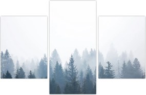 Tablou - Pădure cețoasă (90x60 cm)