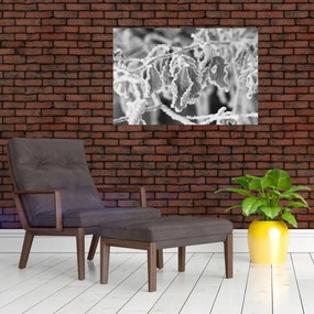 Tablou - Frunze înghețate,alb-negru (90x60 cm)