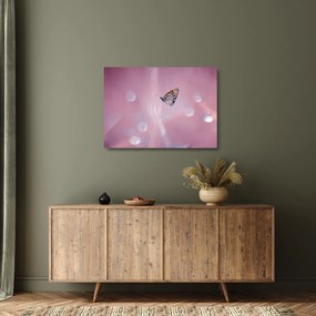 Tablou pe sticlă - Fluturele (70x50 cm)