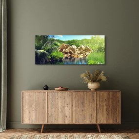 Tablou cu lac în jungla din Seychelles (120x50 cm)