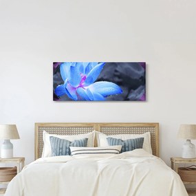 Tablou florilor în detailu (120x50 cm)