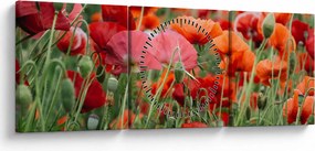 Tablou din câmp cu maci (cu ceas) (90x30 cm)