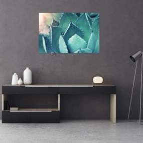 Tablou - Suculent (90x60 cm)