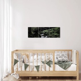 Tablou din pădurea neagră (cu ceas) (90x30 cm)
