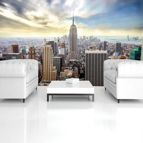 Fototapet - Panoama New York-ului (254x184 cm)