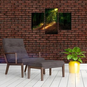 Tablou cu poteca prin pădure (90x60 cm)