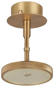 Spot auriu LED ø 12 cm Asteria Spot – UMAGE