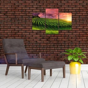 Tablou cu vie cu cerul color (90x60 cm)
