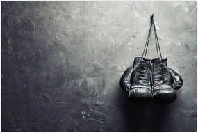 Tablou - Mănuși de box (90x60 cm)