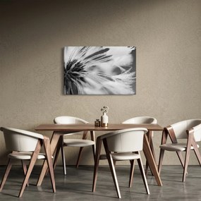 Tablou - Macro,alb-negru (90x60 cm)