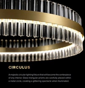 Lustra LED LUX moderna design circular D60 CIRCULUS 02