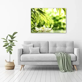 Tablou pe pânză canvas Nufăr