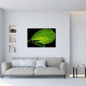 Tablou - frunză verde (90x60 cm)