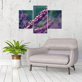 Tablou cu floare violetă (90x60 cm)