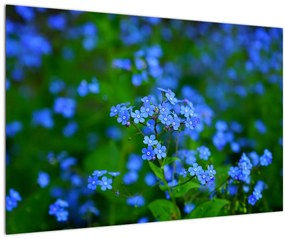 Tablou cu flori albastre (90x60 cm)