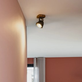 Spotlight industrial din oțel cu lemn inclinabil - Emado